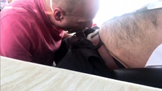 Dad sucking hairy cub