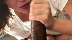 Big Cock Enjoys Blowjob And Hardcore Ride