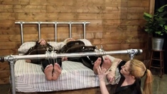 Blowjob Close Up No Hands Cumshot