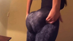 PAWG in Leggings