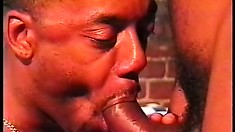 Big Dick Black Gays Chew Meat And Fuck A Tight Widespread Butthole