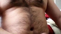 Chubby daddy bear jacking on cam