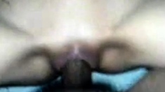 Pancut